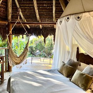Jungle Lodge